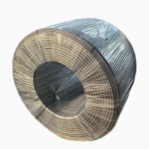 Wajer tal-qalba CaSi